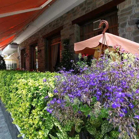 Hotel Ristorante Domus 3*